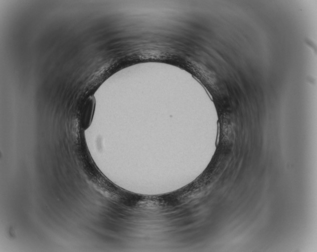 X0000096690211200803041307