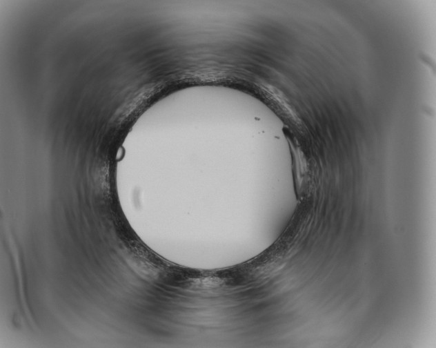 X0000096690212200803041307