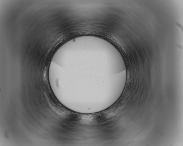 X0000096690214200803041307