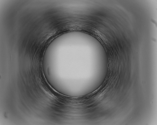 X0000096690215200803041307