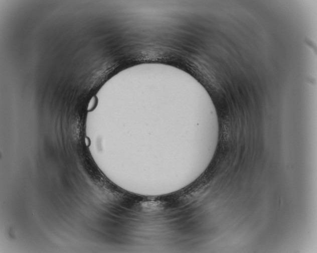 X0000096690216200803041307