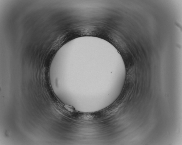 X0000096690217200803041307