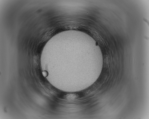 X0000096690218200803041307