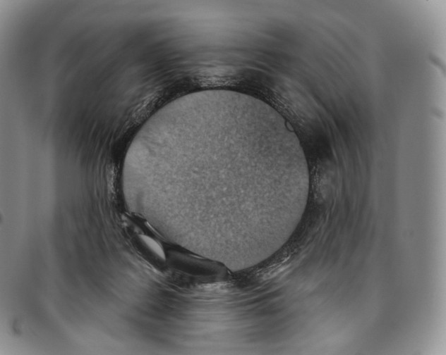 X0000096690219200803041307