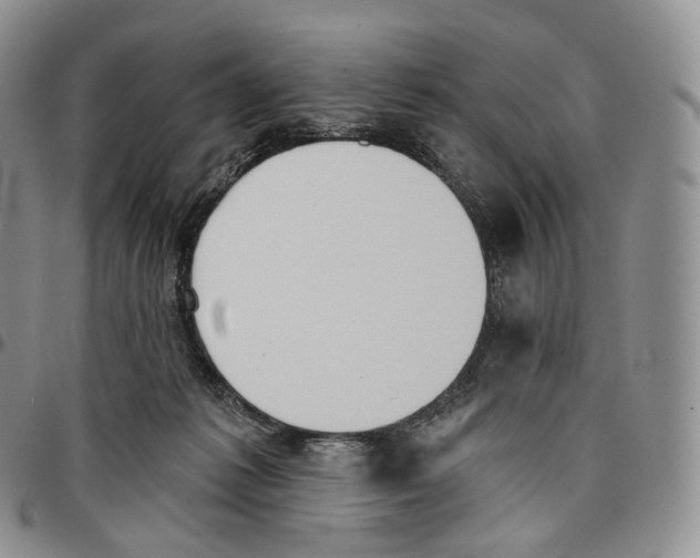 X0000096690221200803041307