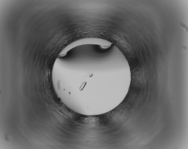 X0000096690225200803041307