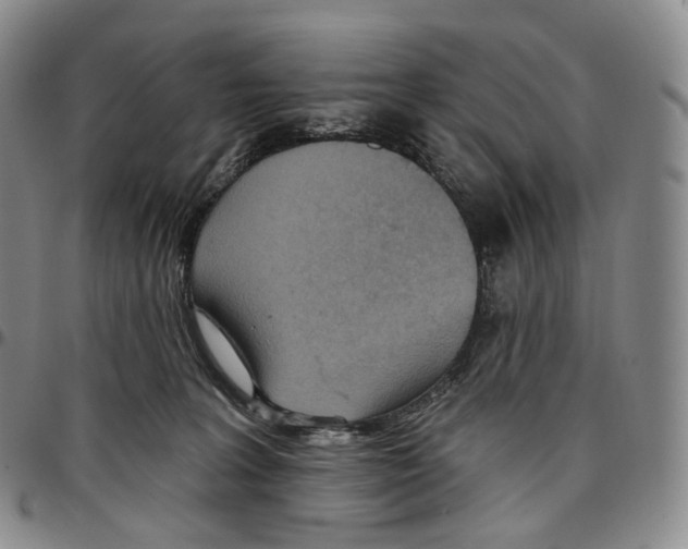 X0000096690227200803041307