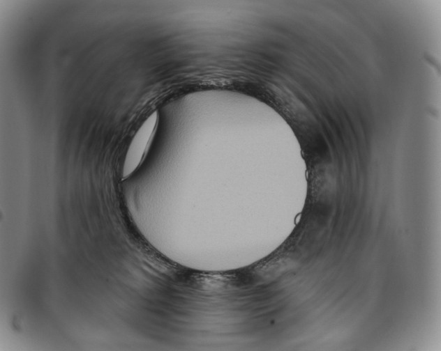 X0000096690229200803041307