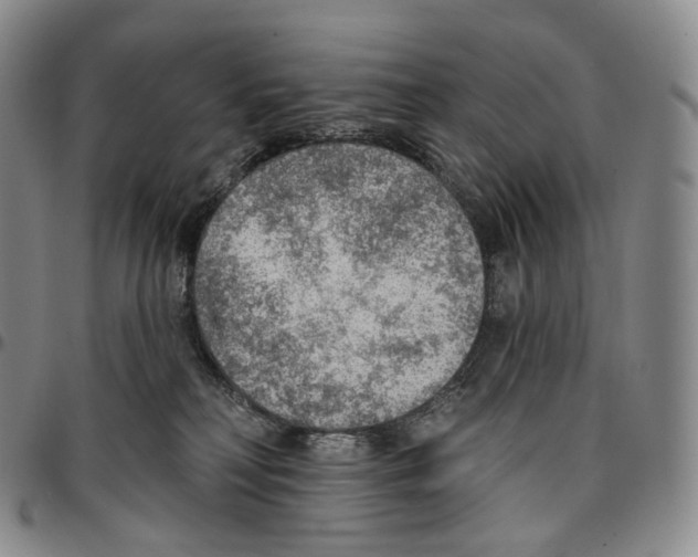 X0000096690230200803041307