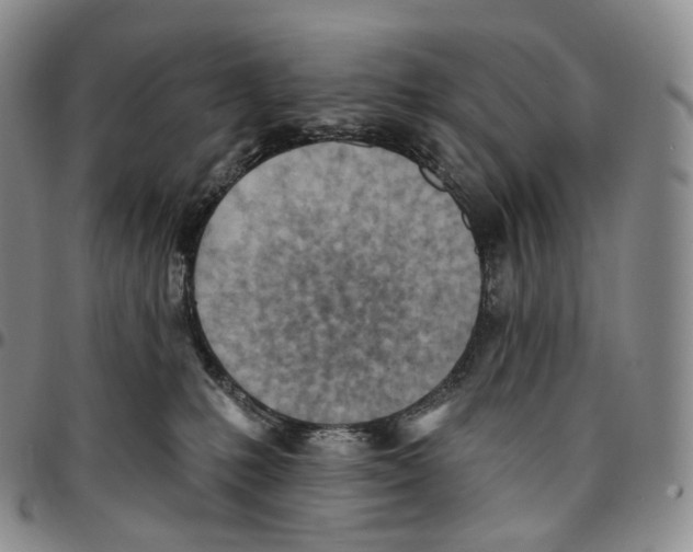 X0000096690231200803041307