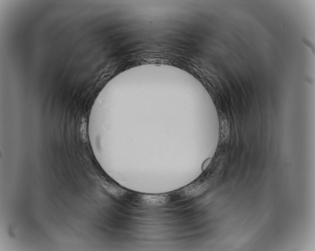 X0000096690234200803041307