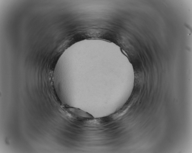 X0000096690237200803041307