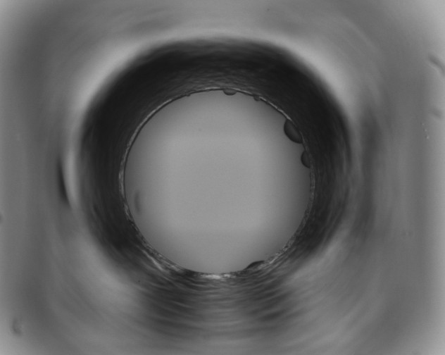 X0000096690239200803041307