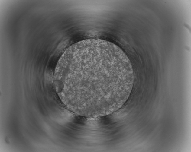 X0000096690240200803041307