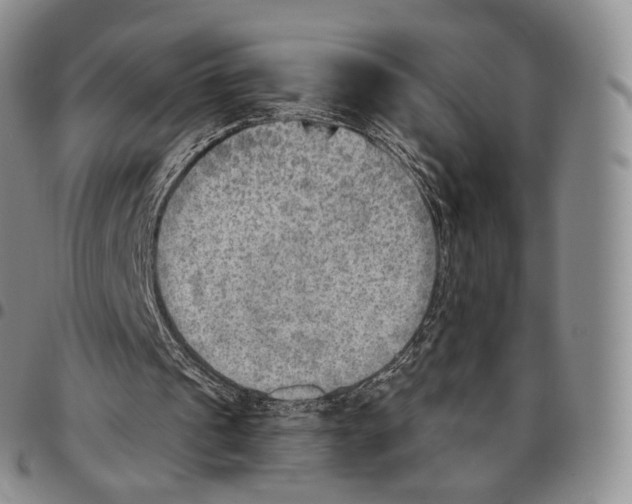 X0000096690241200803041306