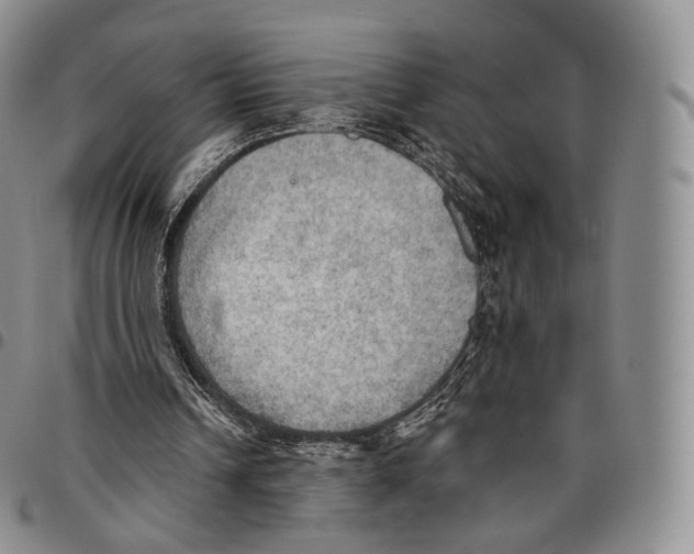 X0000096690242200803041306