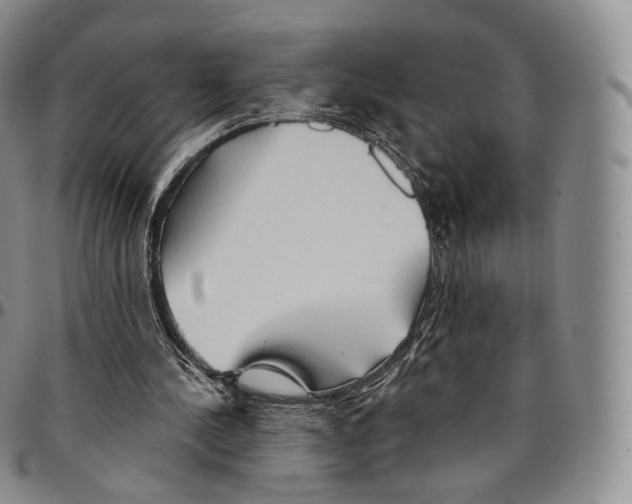 X0000096690244200803041306