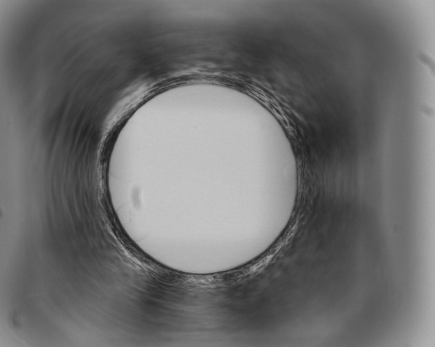 X0000096690245200803041306