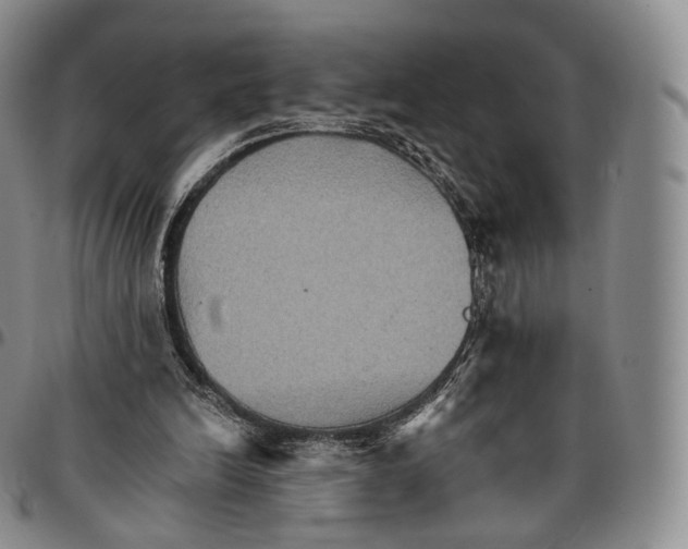 X0000096690246200803041306