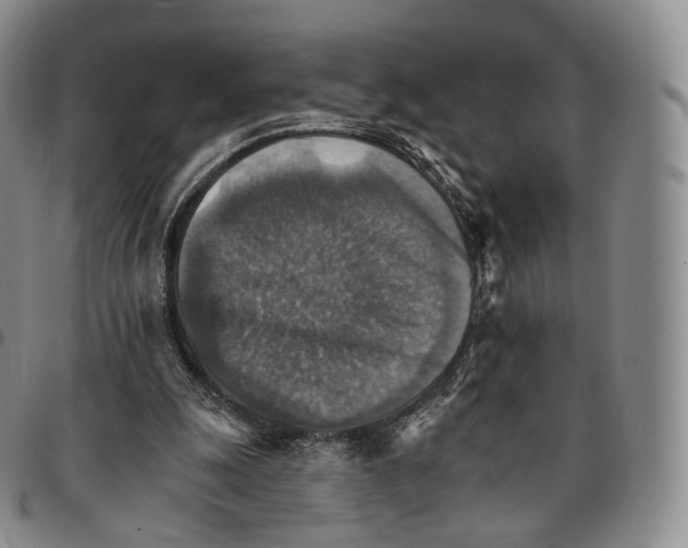 X0000096690247200803041306