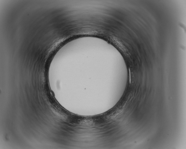 X0000096690252200803041306