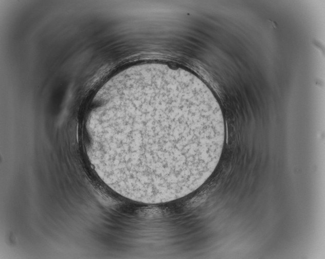 X0000096690253200803041307