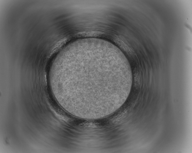 X0000096690254200803041307