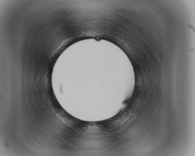 X0000096690256200803041307