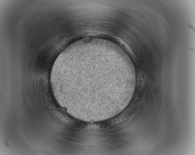 X0000096690257200803041307