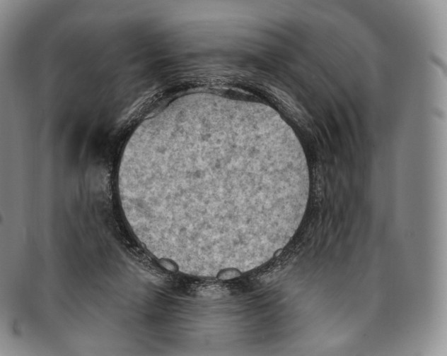 X0000096690258200803041307