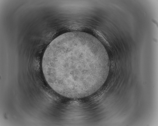 X0000096690259200803041307