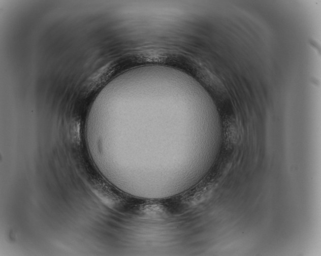 X0000096690262200803041307