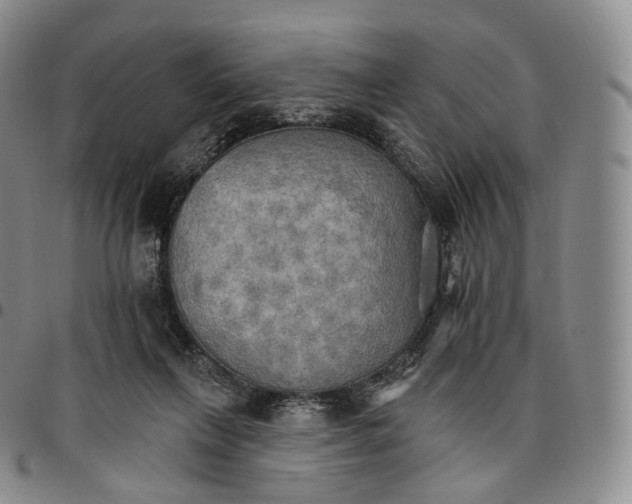 X0000096690263200803041307