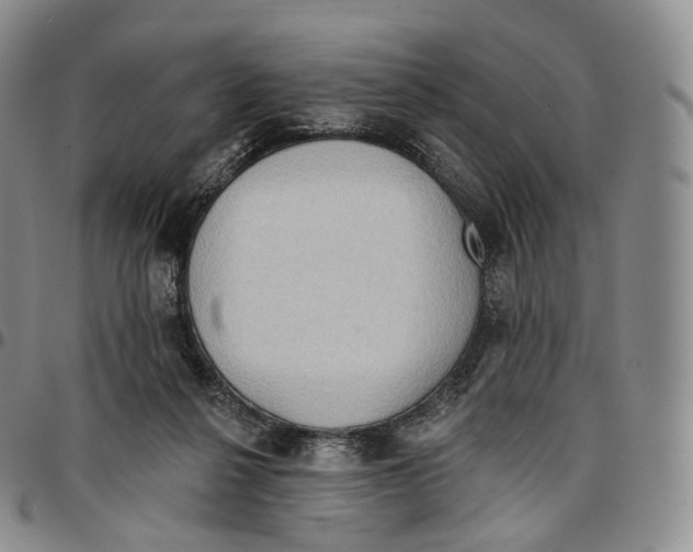 X0000096690264200803041307