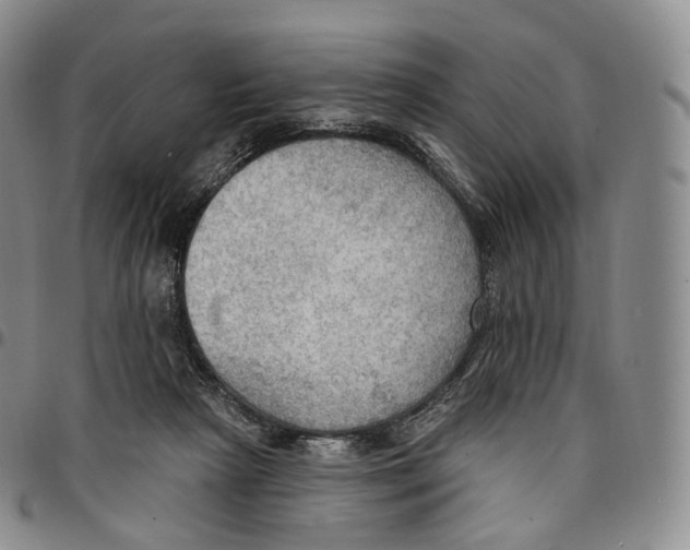 X0000096690265200803041307