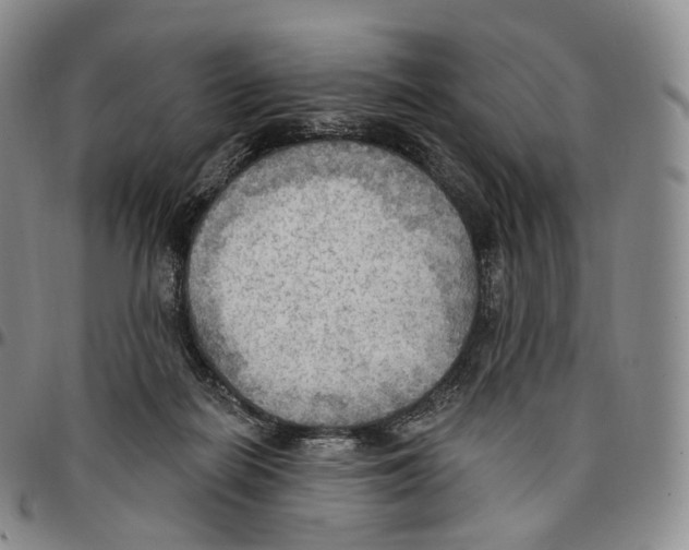 X0000096690266200803041307