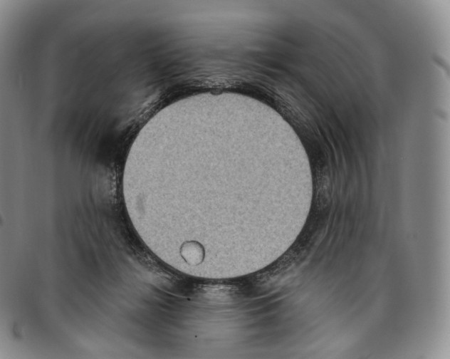 X0000096690268200803041307