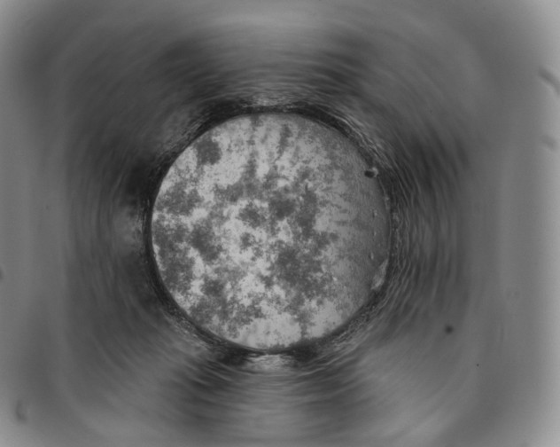 X0000096690269200803041307