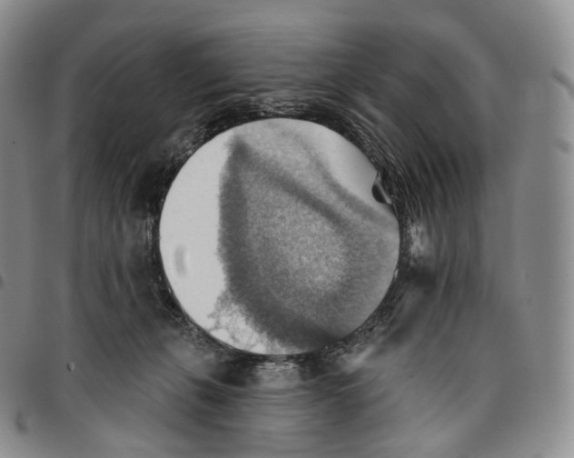 X0000096690271200803041307