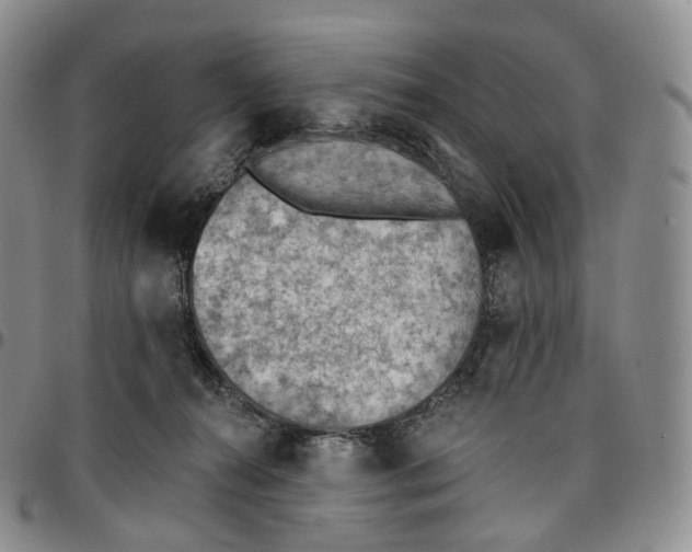 X0000096690272200803041307