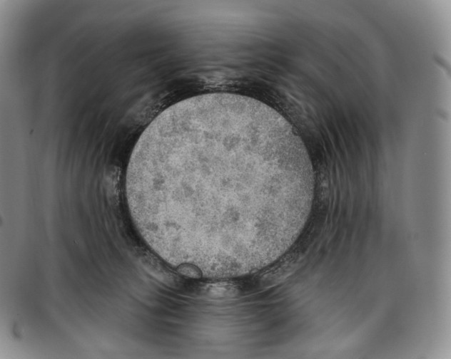 X0000096690275200803041307