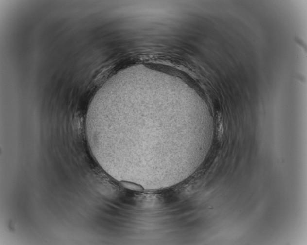 X0000096690276200803041307