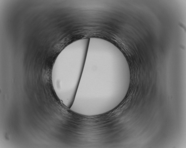 X0000096690277200803041307