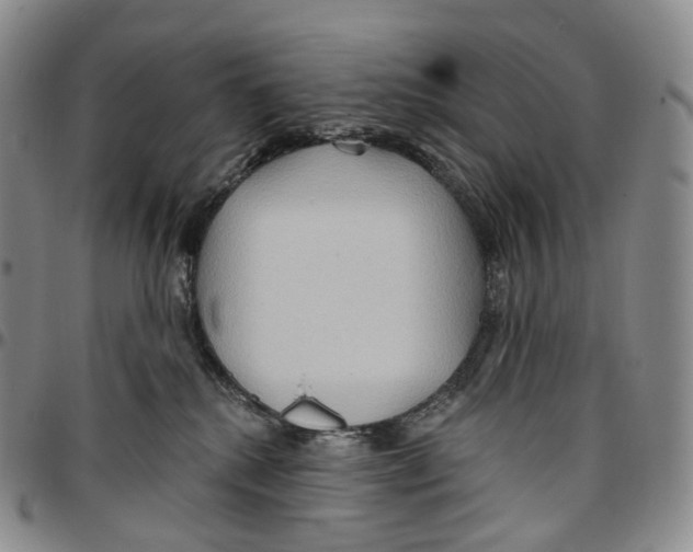 X0000096690280200803041307