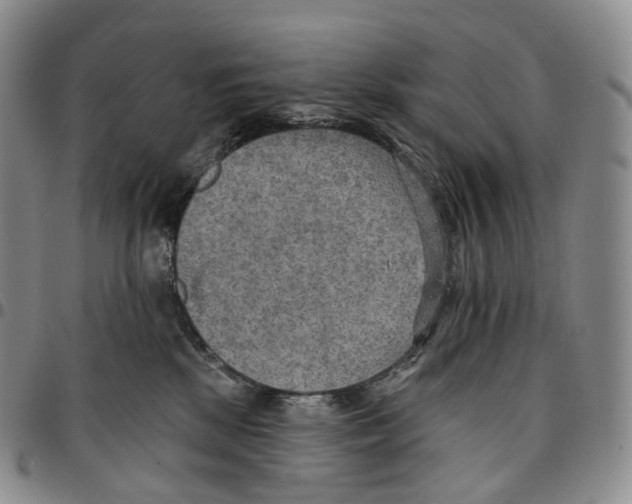 X0000096690281200803041307