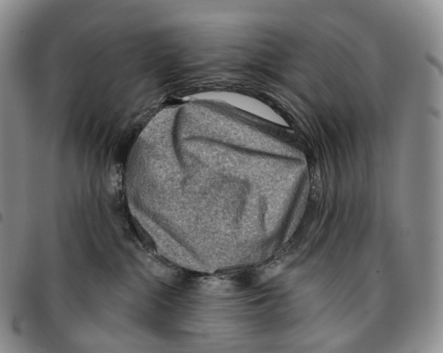 X0000096690284200803041307