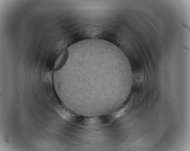 X0000096690286200803041307