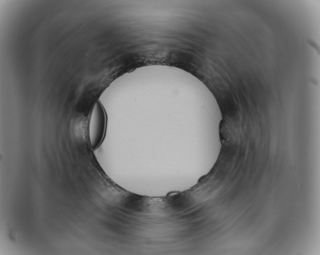 X0000096690287200803041307