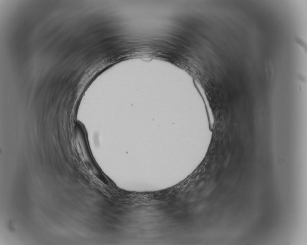 X0000096690289200803041306