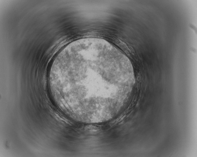 X0000096690290200803041306